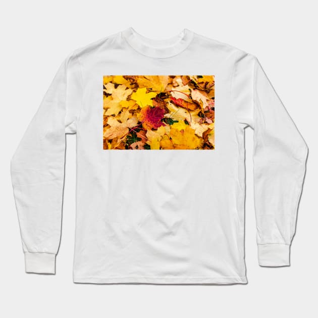 Orange maple leaf fall on ground in autumn Long Sleeve T-Shirt by lena-maximova